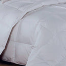 Egyptian Cotton Lightweight Down Comforter – Solid Sateen